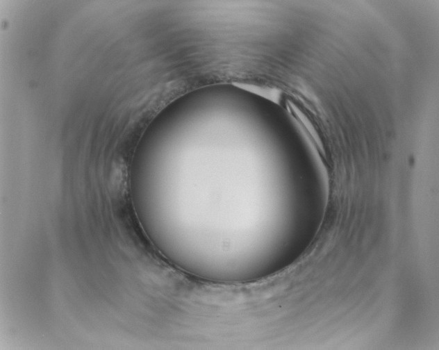 X0000089420029200706291044