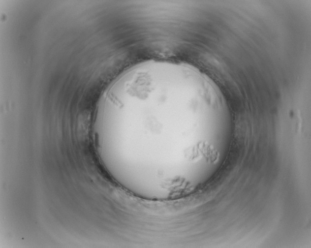 X0000089420030200706291044