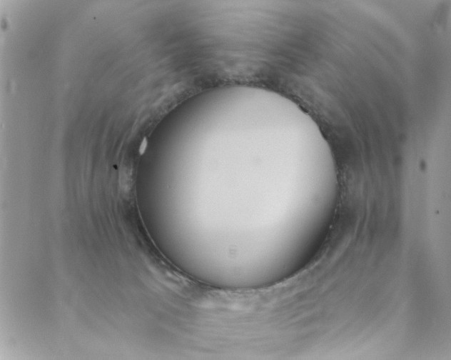 X0000089420033200706291044