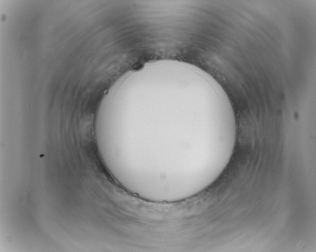 X0000089420034200706291044