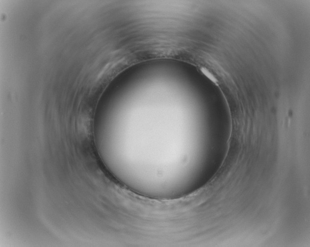 X0000089420035200706291044