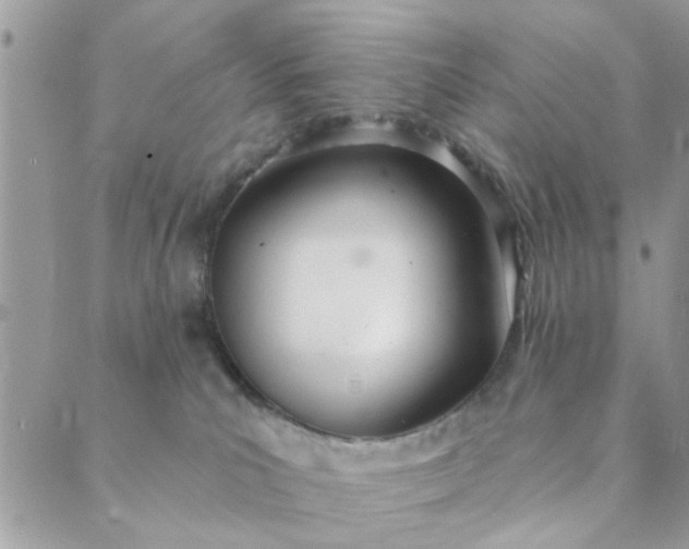 X0000089420039200706291044