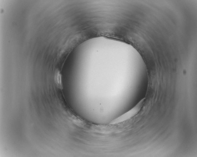 X0000089420041200706291044