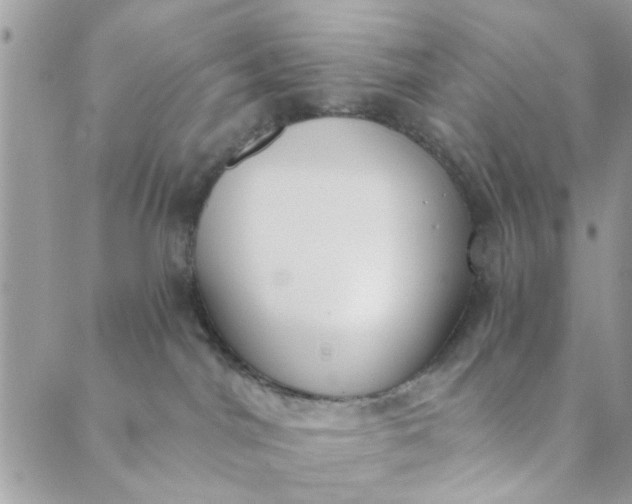 X0000089420044200706291044