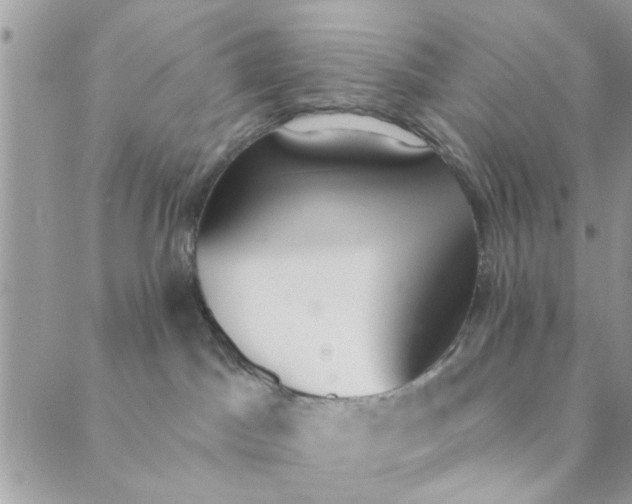 X0000089420045200706291044