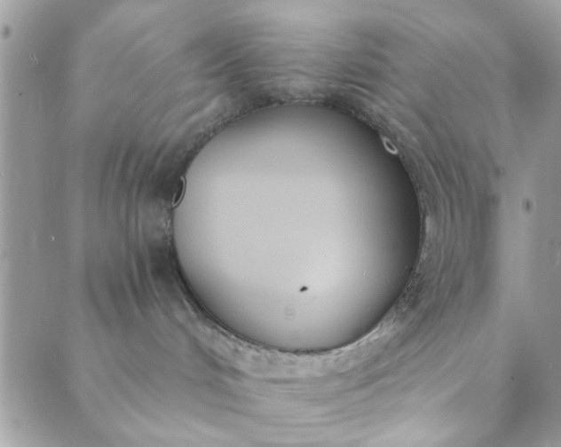 X0000089420048200706291044