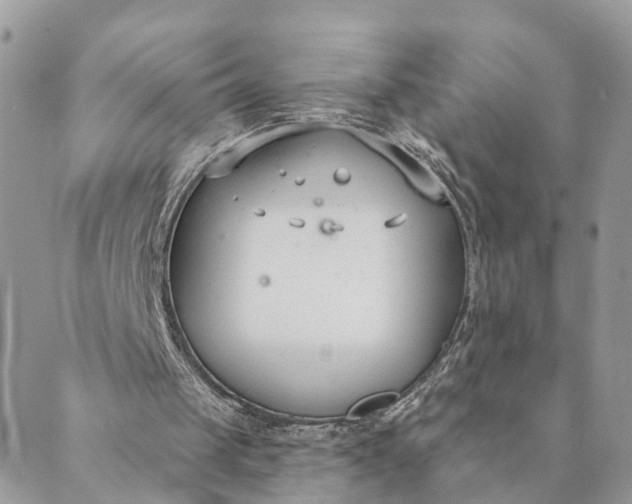 X0000089420049200706291043