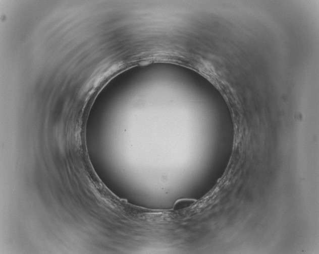 X0000089420050200706291043