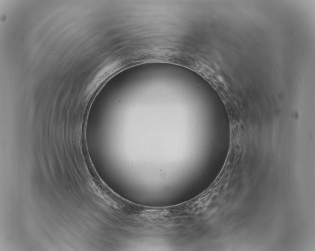 X0000089420051200706291043