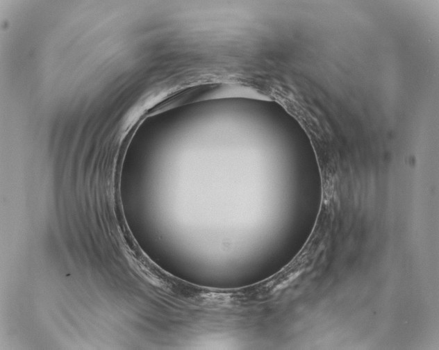 X0000089420052200706291043