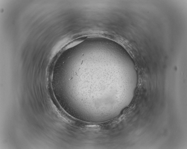 X0000089420053200706291043