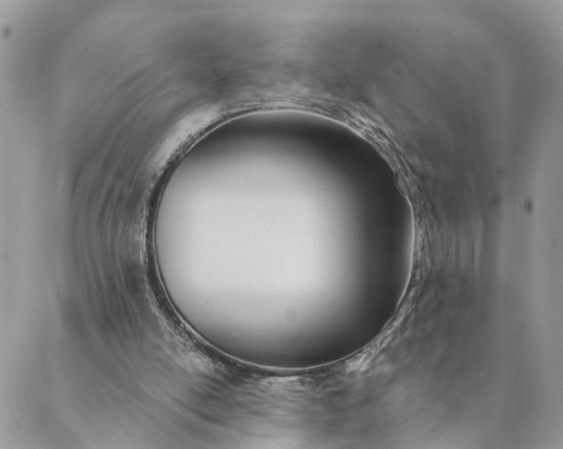 X0000089420054200706291043