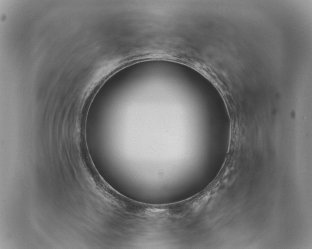 X0000089420055200706291043