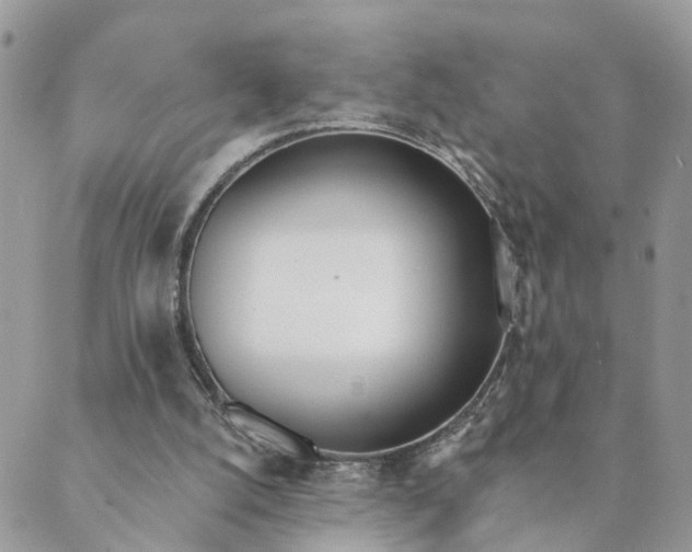 X0000089420056200706291043