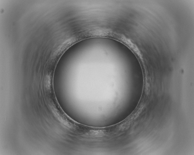 X0000089420057200706291043