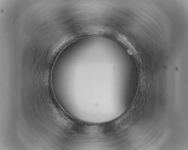 X0000089420058200706291043