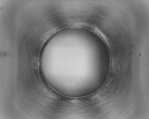 X0000089420059200706291043