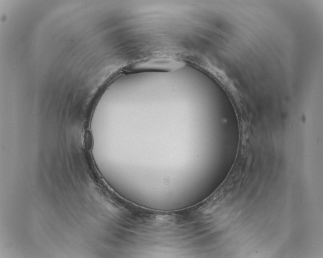 X0000089420060200706291043