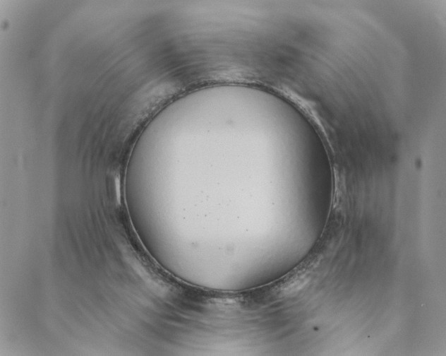 X0000089420061200706291043