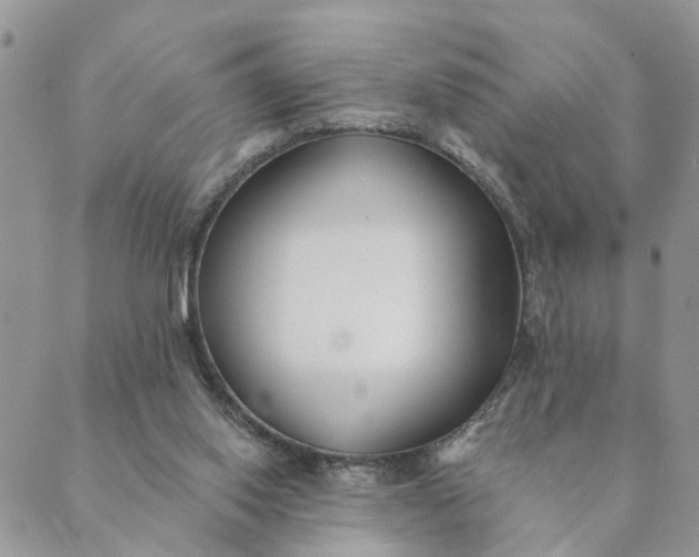 X0000089420062200706291043