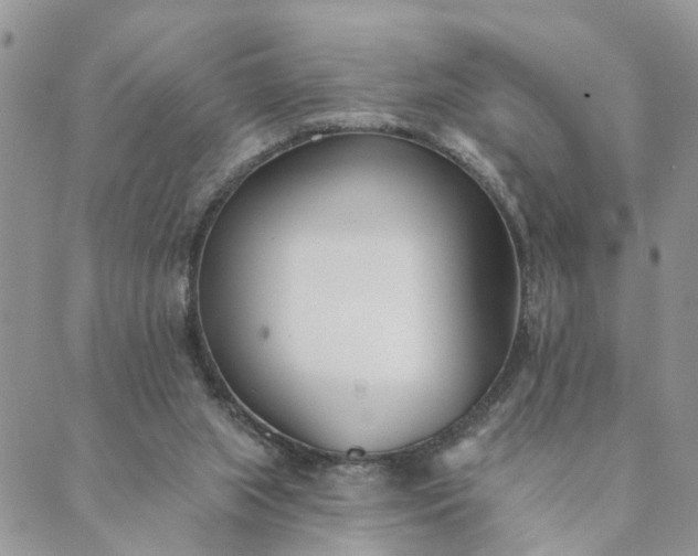 X0000089420063200706291043