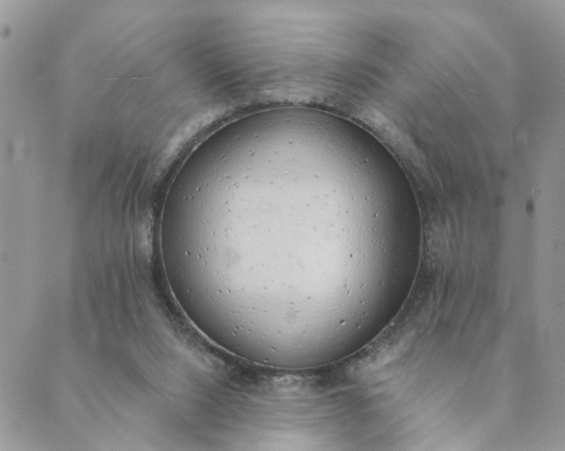 X0000089420064200706291043