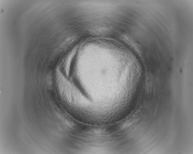 X0000089420065200706291043