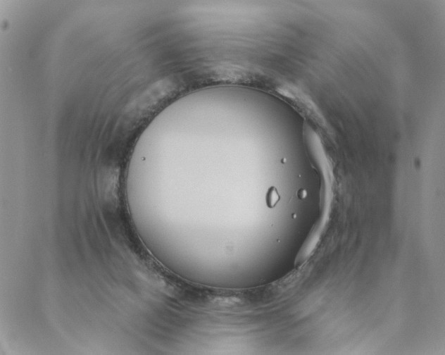 X0000089420066200706291043