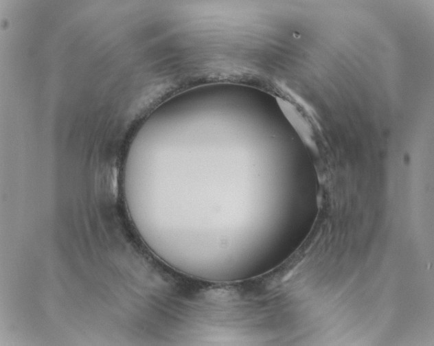 X0000089420067200706291043