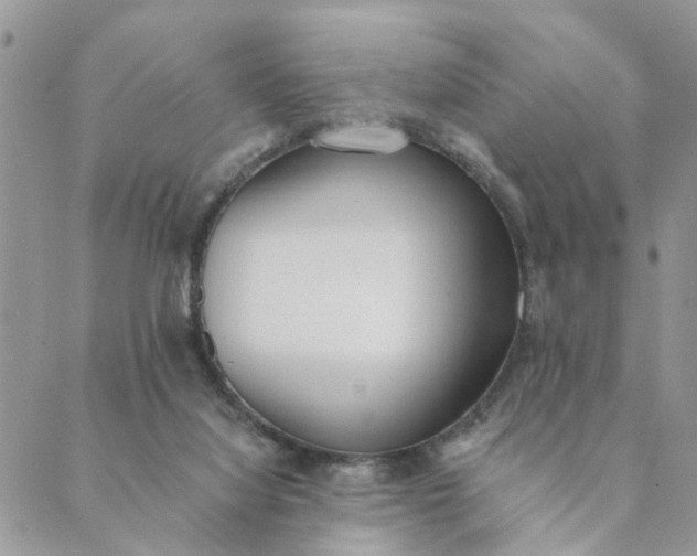 X0000089420068200706291043