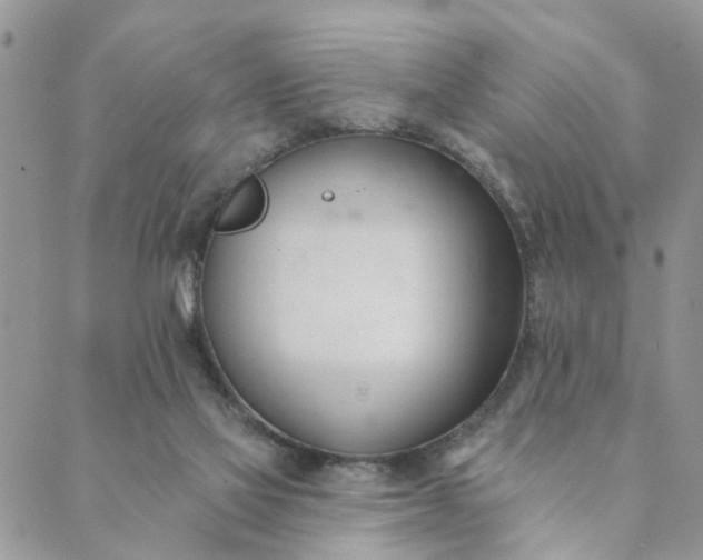 X0000089420069200706291043