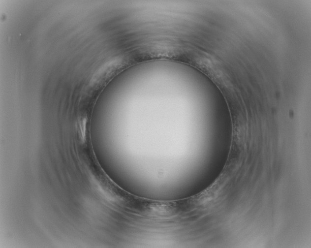 X0000089420070200706291043