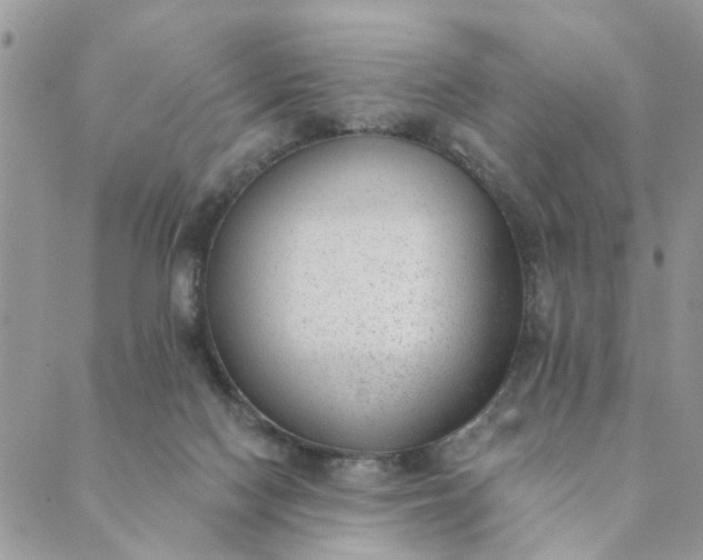 X0000089420074200706291043