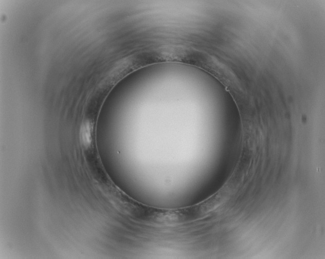 X0000089420075200706291043