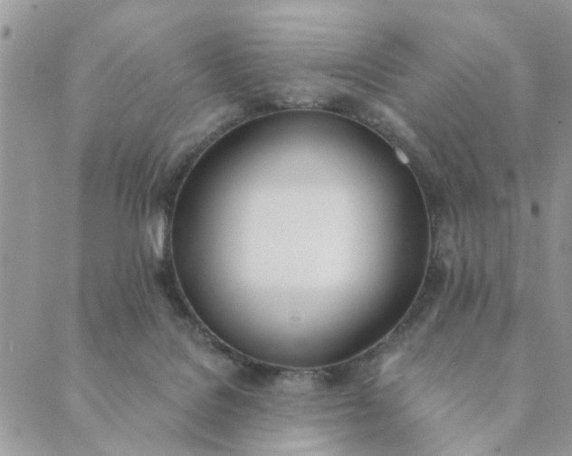 X0000089420076200706291043