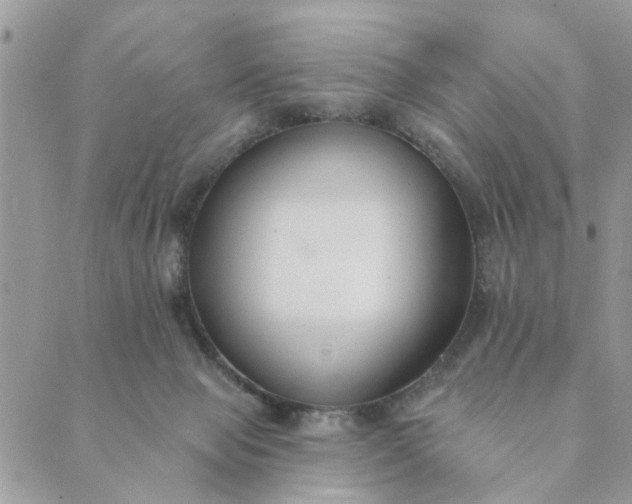 X0000089420077200706291043