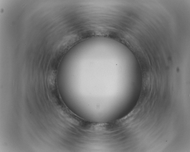 X0000089420078200706291043