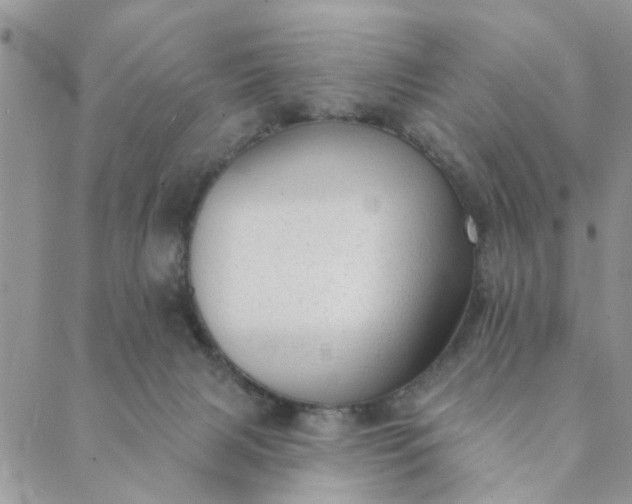 X0000089420079200706291043