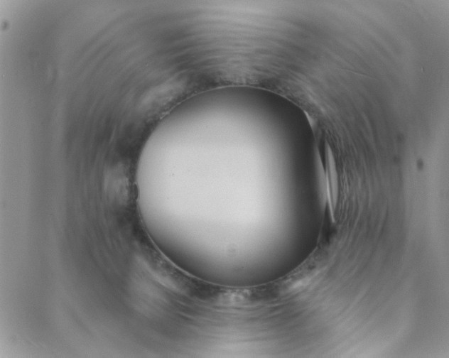 X0000089420080200706291043