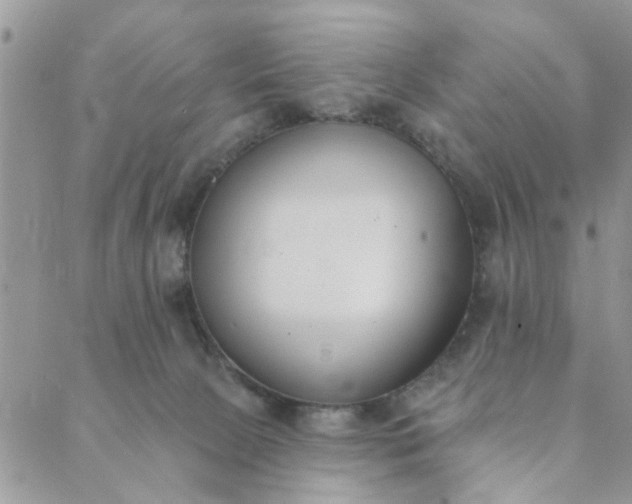 X0000089420081200706291043