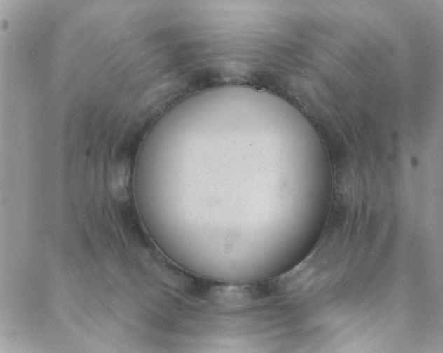 X0000089420082200706291043