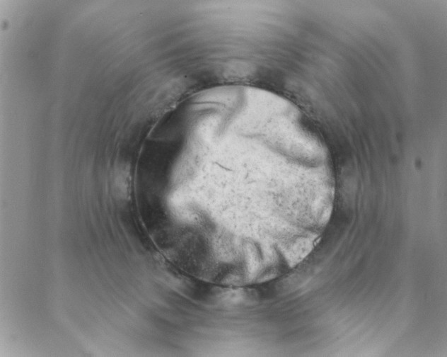 X0000089420083200706291043