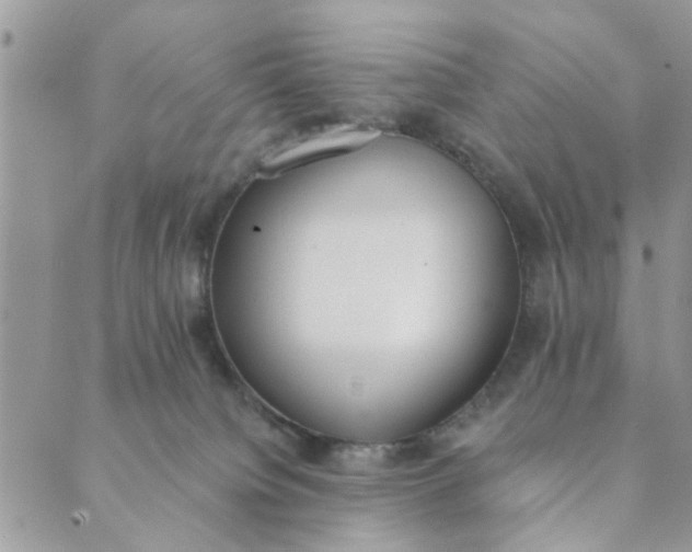 X0000089420084200706291043