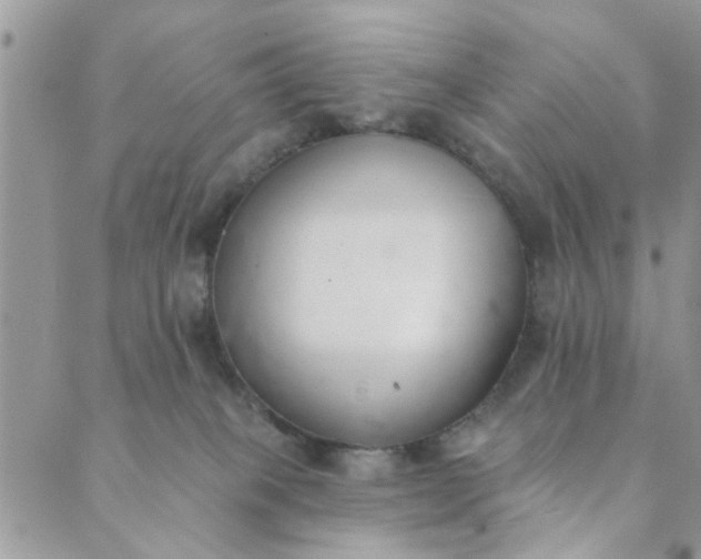 X0000089420085200706291043