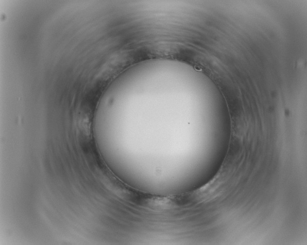 X0000089420086200706291043