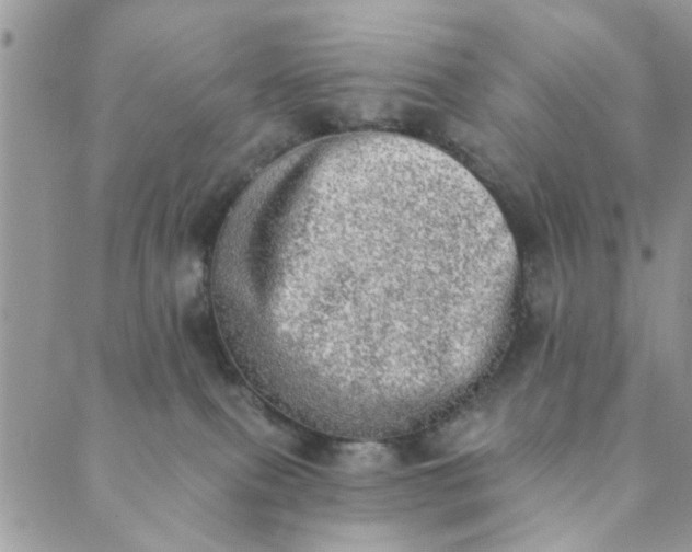 X0000089420087200706291043