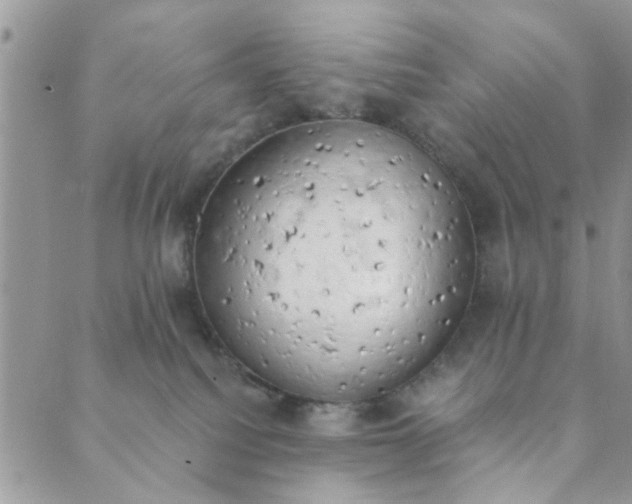 X0000089420088200706291043