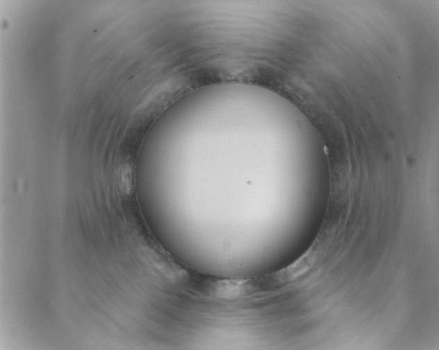 X0000089420090200706291043