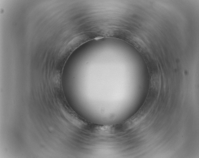 X0000089420092200706291043