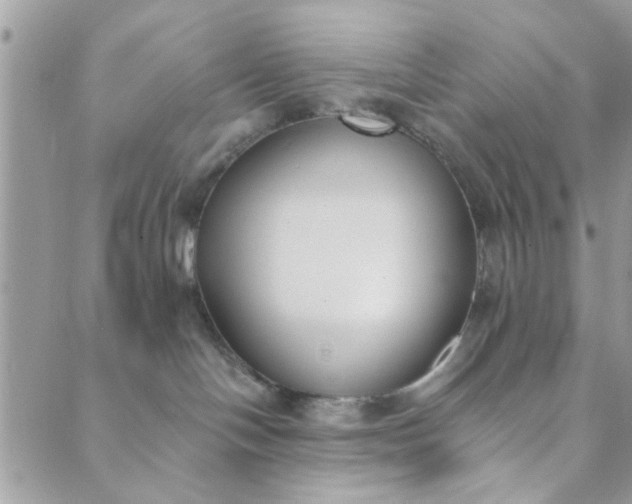 X0000089420094200706291044